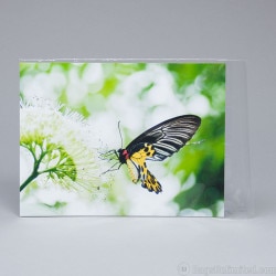 9 x 12 Print Sleeve